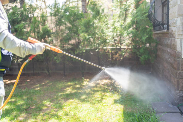 Best Organic or Eco-Friendly Pest Control  in Springfield, FL